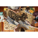 I Am Grizz 1000 Piece Animal Shaped Jigsaw Puzzle Madd Capp - for just $26.99! 