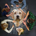 I Am Lab 550 Piece Head Shaped Jigsaw Puzzle Madd Capp - for just $22.99! 