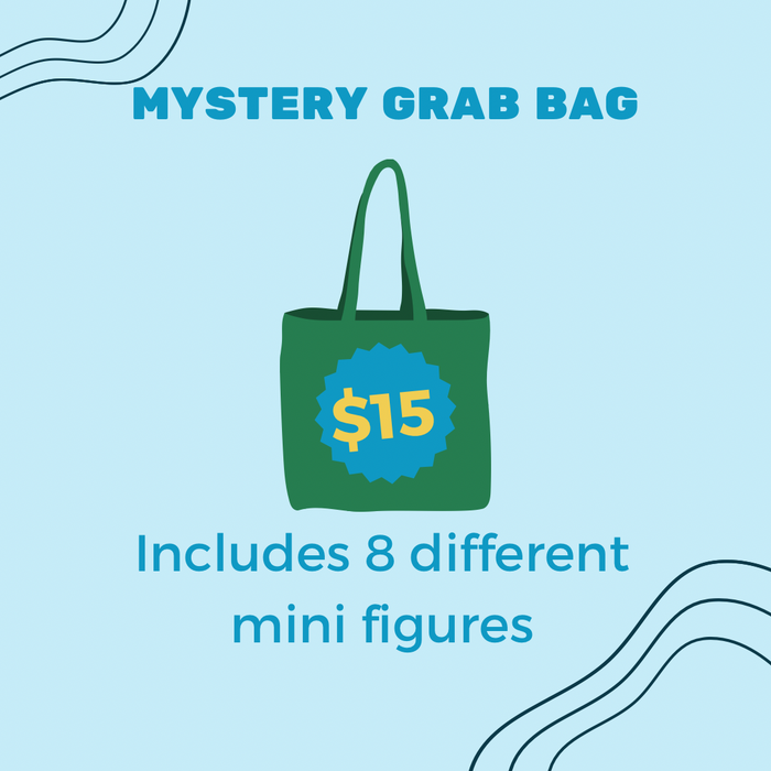 Mystery Grab Bag - for just $15! 