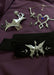 Castlevania Lenore Accessories - Custom Made - for just $99! 