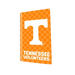 Tennessee Volunteers PS5 VarsityWrapz - for just $39.99! 