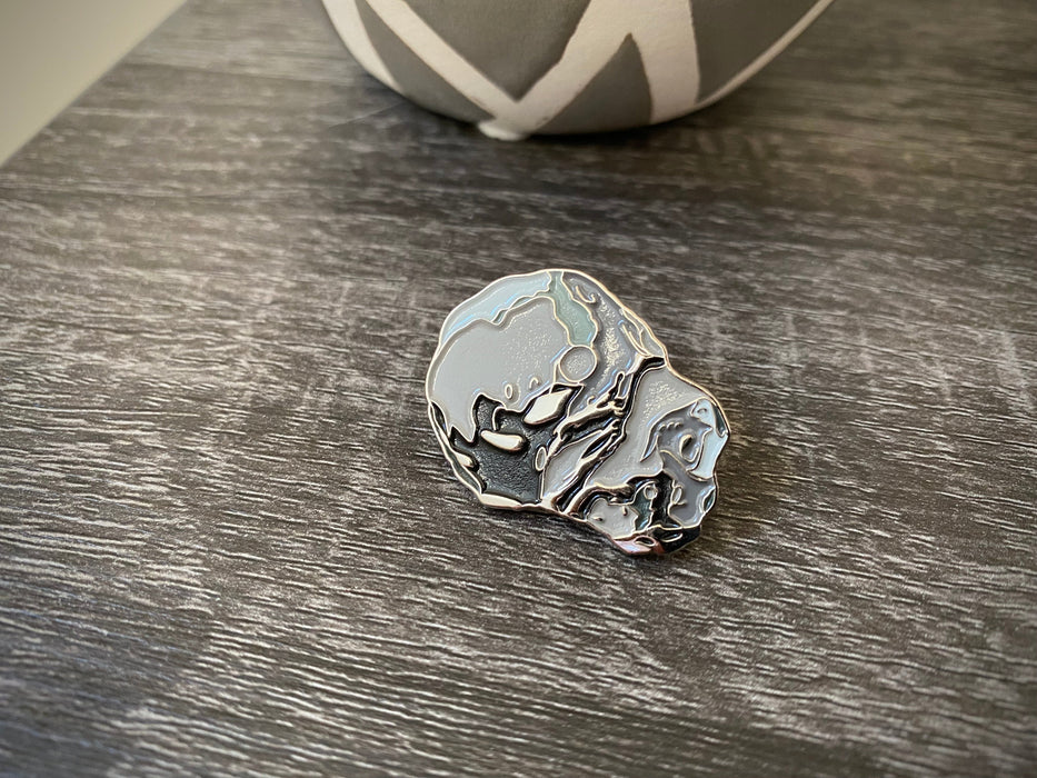 DART Mission Pin Collection - for just $12.97! 