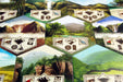 Robinson Crusoe: Adventures on the Cursed Island - for just $65! 