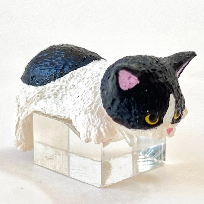 Resting Cats Blind Box (1 Blind Box) - for just $9.99! 