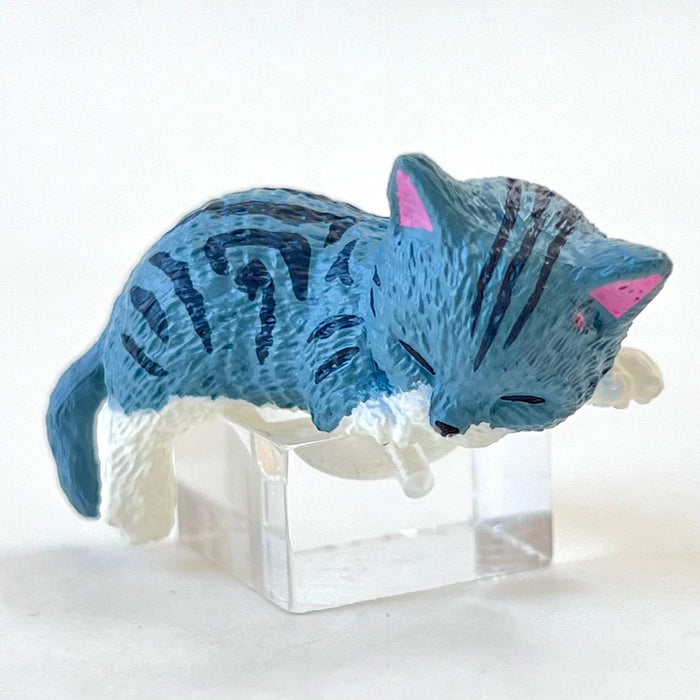 Resting Cats Blind Box (1 Blind Box) - for just $9.99! 