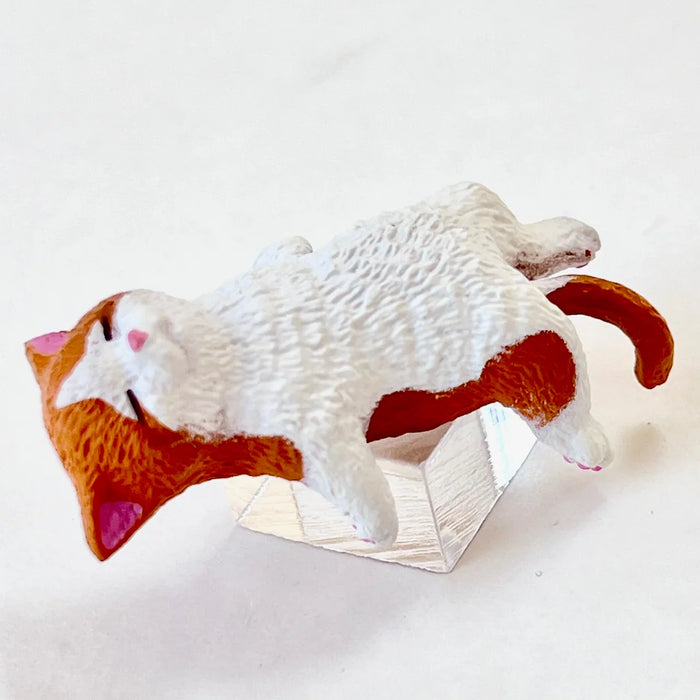 Resting Cats Blind Box (1 Blind Box) - for just $9.99! 
