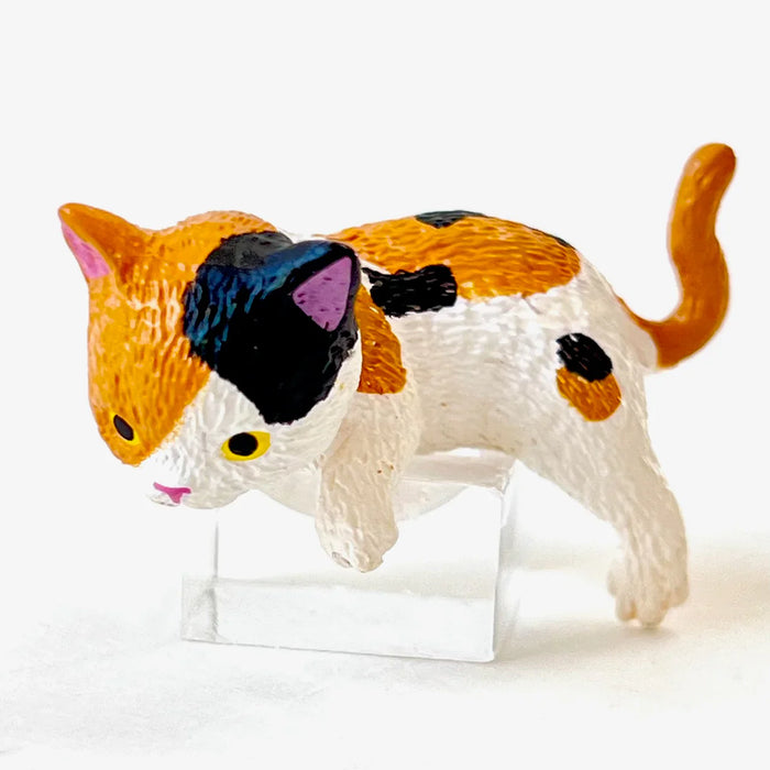 Resting Cats Blind Box (1 Blind Box) - for just $9.99! 