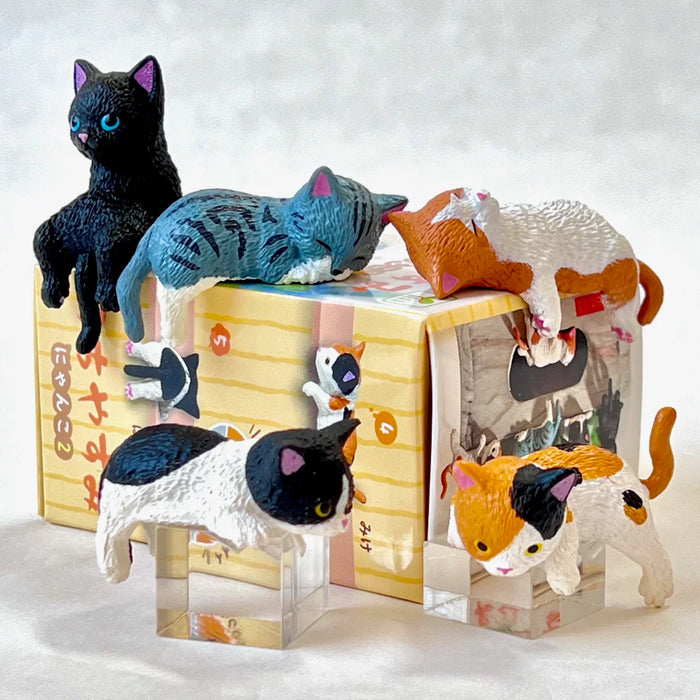 Resting Cats Blind Box (1 Blind Box) - for just $9.99! 