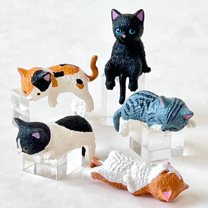 Resting Cats Blind Box (1 Blind Box) - for just $9.99! 
