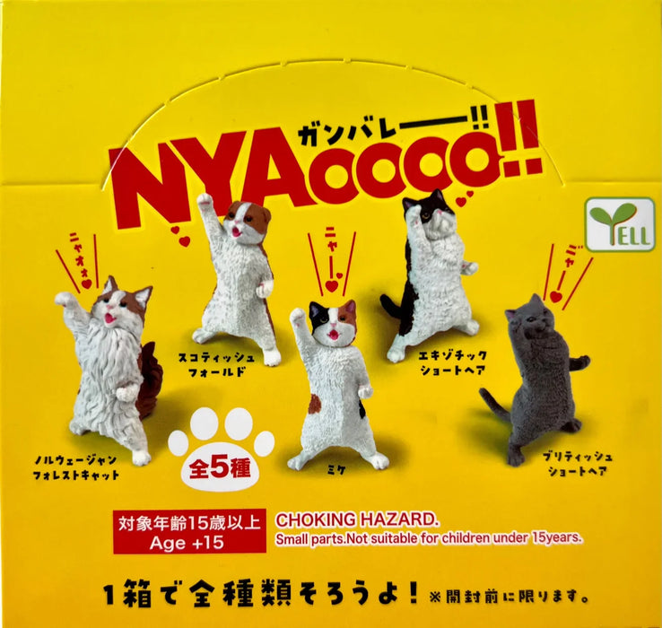 NYAOOO! POWER CATS BLIND BOX (1 Blind Box) - for just $9.99! 
