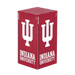 Indiana Hoosiers Xbox VarsityWrapz - for just $39.99! 