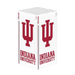 Indiana Hoosiers Xbox VarsityWrapz - for just $39.99! 