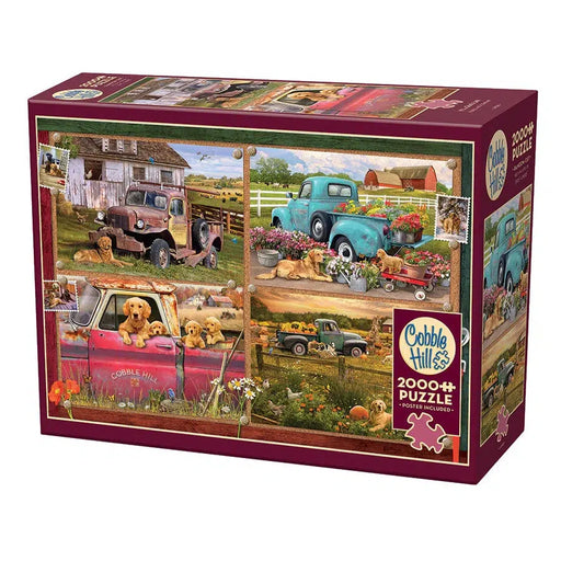 It's a Dog's Life 2000 Piece Jigsaw Puzzle Cobble Hill - for just $29.99! 
