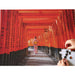 Japan's Most Famous Shinto Shrine 1000 Piece Jigsaw Puzzle Tuttle - for just $19.99! 