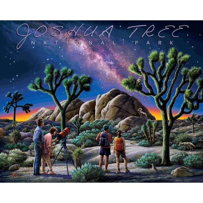 Joshua Tree National Park 210 Piece Jigsaw Puzzle Boardwalk - for just $11.99! 