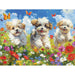 Joy 275 Large Piece Jigsaw Puzzle Cobble Hill - for just $17.99! 