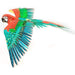 Jubilee Macaw Parrot Premium 3D Steel Model Kit Metal Earth - for just $29.99! 
