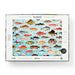 Judgy Fish 1000 Piece Jigsaw Puzzle (+Stickers) Brass Monkey - for just $19.99! 