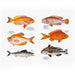 Judgy Fish 1000 Piece Jigsaw Puzzle (+Stickers) Brass Monkey - for just $19.99! 