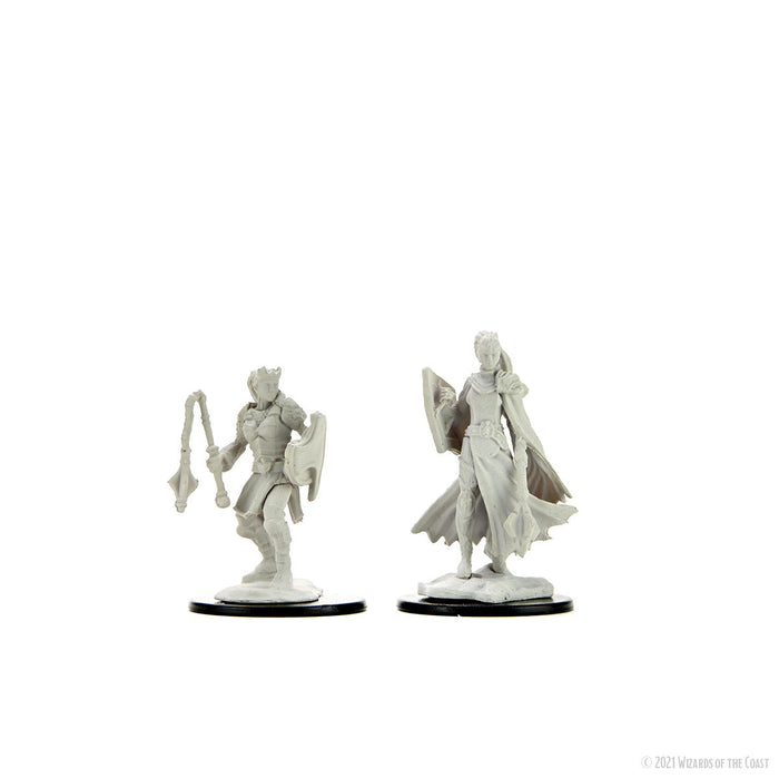 D&D: Nolzur's Marvelous Miniatures - Kalashtar Cleric Female - for just $5.99! 