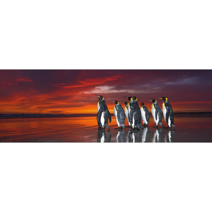 King Penguins 1000 Piece Panoramic Jigsaw Puzzle Heye - for just $29.99! 
