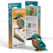 Kingfisher 3D Cardboard Model Kit Eugy - for just $11.99! 