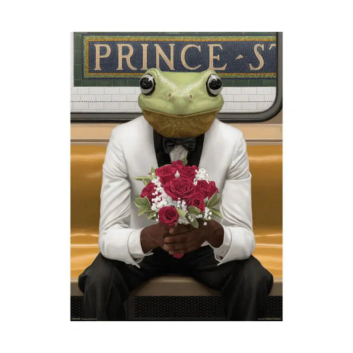 Kiss Me 500 Piece Jigsaw Puzzle Fred - for just $19.99! 