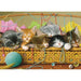 Kittens in Basket 35 Piece Tray Jigsaw Puzzle Cobble Hill - for just $9.99! 