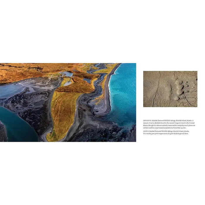 Kodiak Refuge 1000 Piece Jigsaw Puzzle Insights - for just $19.99! 