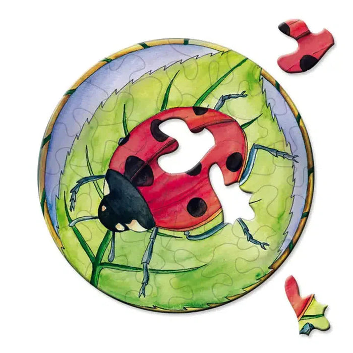 Ladybird 33 Piece Mini Matchbox Jigsaw Puzzle Curiosi - for just $5.99! 