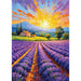 Lavender Sunset 1000 Piece Jigsaw Puzzle Enjoy - for just $24.99! 