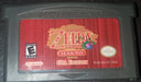 Legend of Zelda Oracle of Seasons GBA Video Game Boy Advance Nintendo - for just $11.50! 