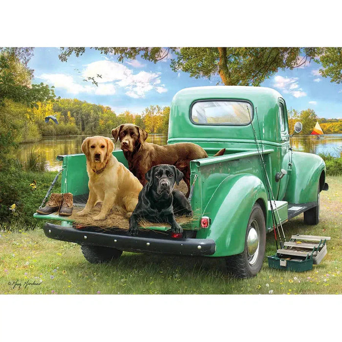 Let's Go Fishing 500 Piece Jigsaw Puzzle Cobble Hill - for just $17.99! 