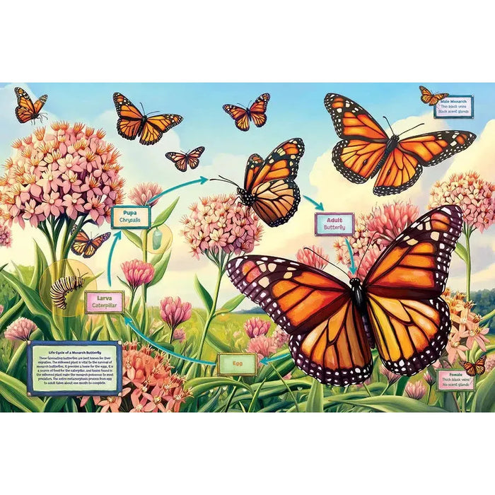 Life Cycle of a Monarch 35 Piece Floor Jigsaw Puzzle Cobble Hill - for just $19.99! 