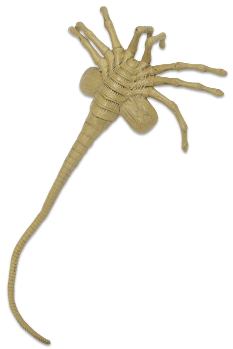 Alien: Facehugger Life Size Foam Replica - for just $74.99! 