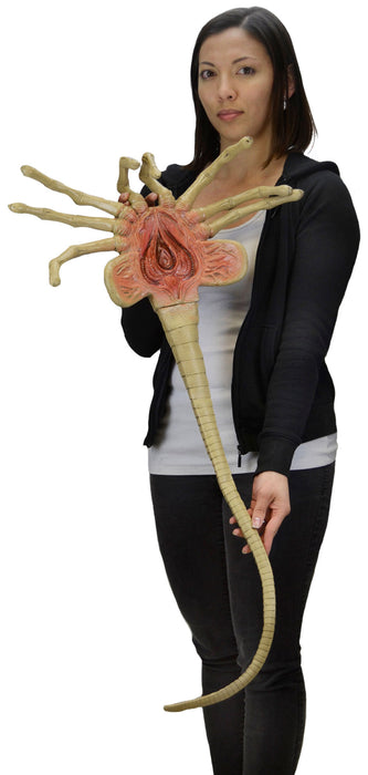 Alien: Facehugger Life Size Foam Replica - for just $74.99! 