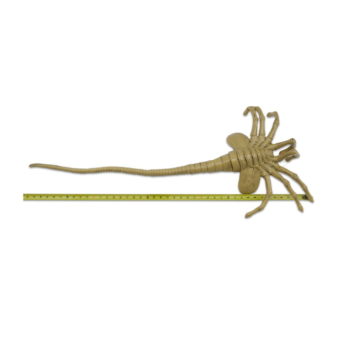 Alien: Facehugger Life Size Foam Replica - for just $74.99! 