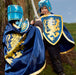Noble Knight Cape · Blue - for just $32.99! 