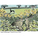 Look Out! 1000 Piece Jigsaw Puzzle Flame Tree - for just $19.99! 