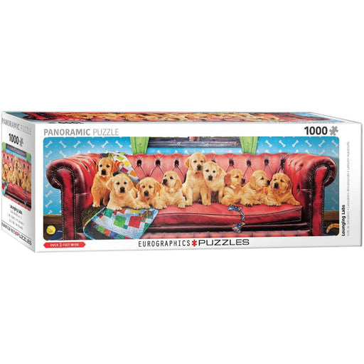 Lounging Labs 1000 Piece Panoramic Jigsaw Puzzle Eurographics - for just $21.99! 