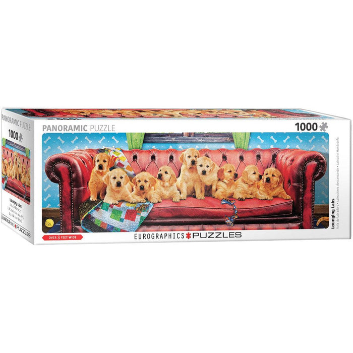 Lounging Labs 1000 Piece Panoramic Jigsaw Puzzle Eurographics - for just $19.99! 