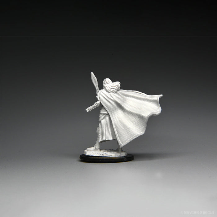 Magic: the Gathering - Unpainted Miniatures - Elf Fighter & Elf Cleric - for just $5.99! 