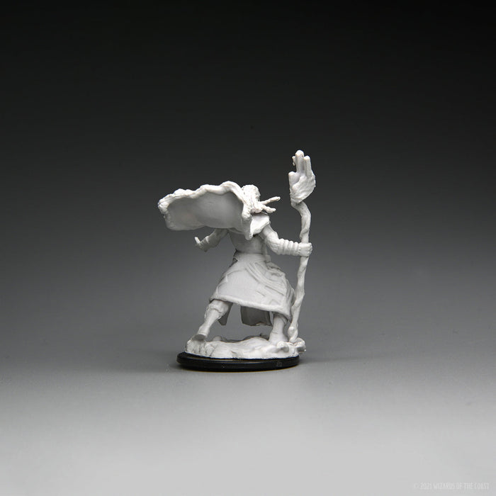 Magic: the Gathering - Unpainted Miniatures - Elf Fighter & Elf Cleric - for just $5.99! 