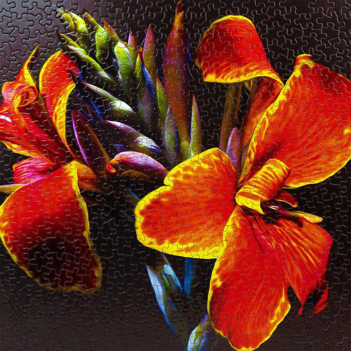 Madera Canna Lily 500 Piece Jigsaw Puzzle Springbok - for just $17.99! 