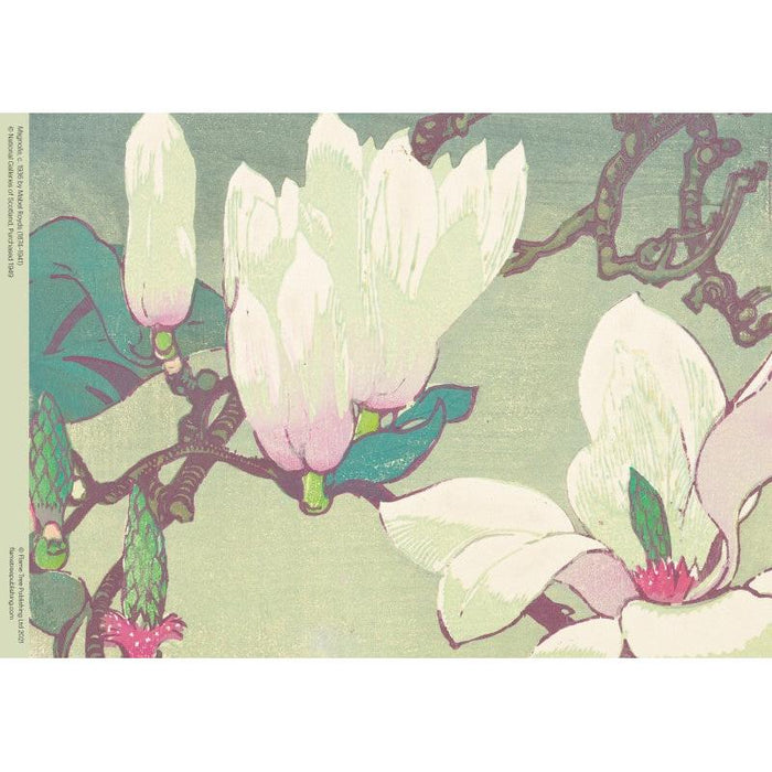 Magnolia by Mabel Royds 500 Piece Jigsaw Puzzle Flame Tree - for just $17.99! 
