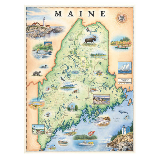 Maine 1000 Piece Jigsaw Puzzle Xplorer Maps - for just $24.99! 