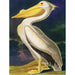 Majestic Pelican Vintage Collection 500 Piece Jigsaw Puzzle NYPC - for just $26.99! 