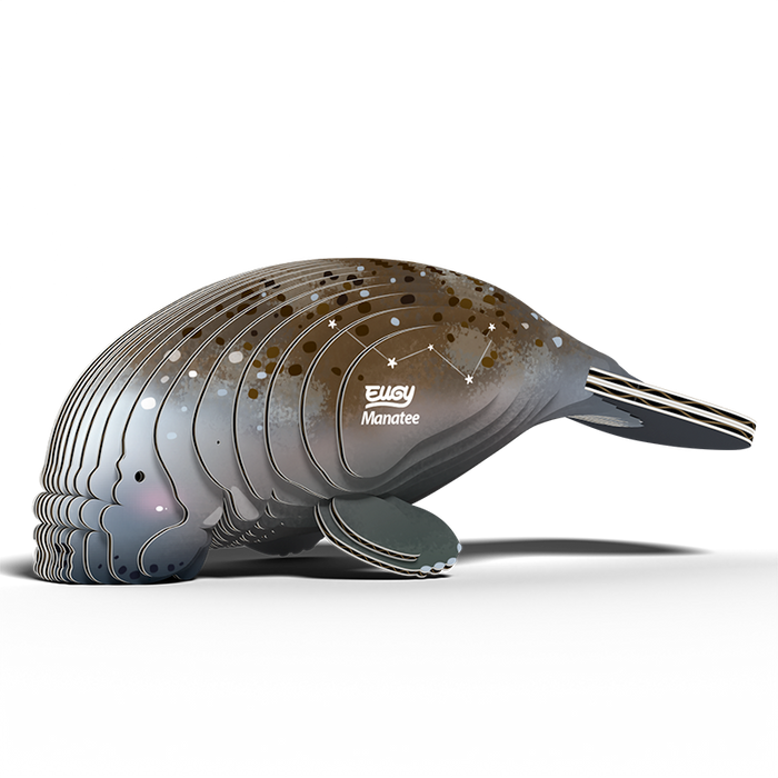 Manatee 3D Cardboard Model Kit Eugy - for just $11.99! 