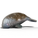 Manatee 3D Cardboard Model Kit Eugy - for just $11.99! 