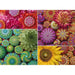 Mandala Blooms 500 Piece Jigsaw Puzzle Ravensburger - for just $19.99! 
